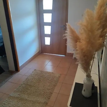 Maslina Apartman *